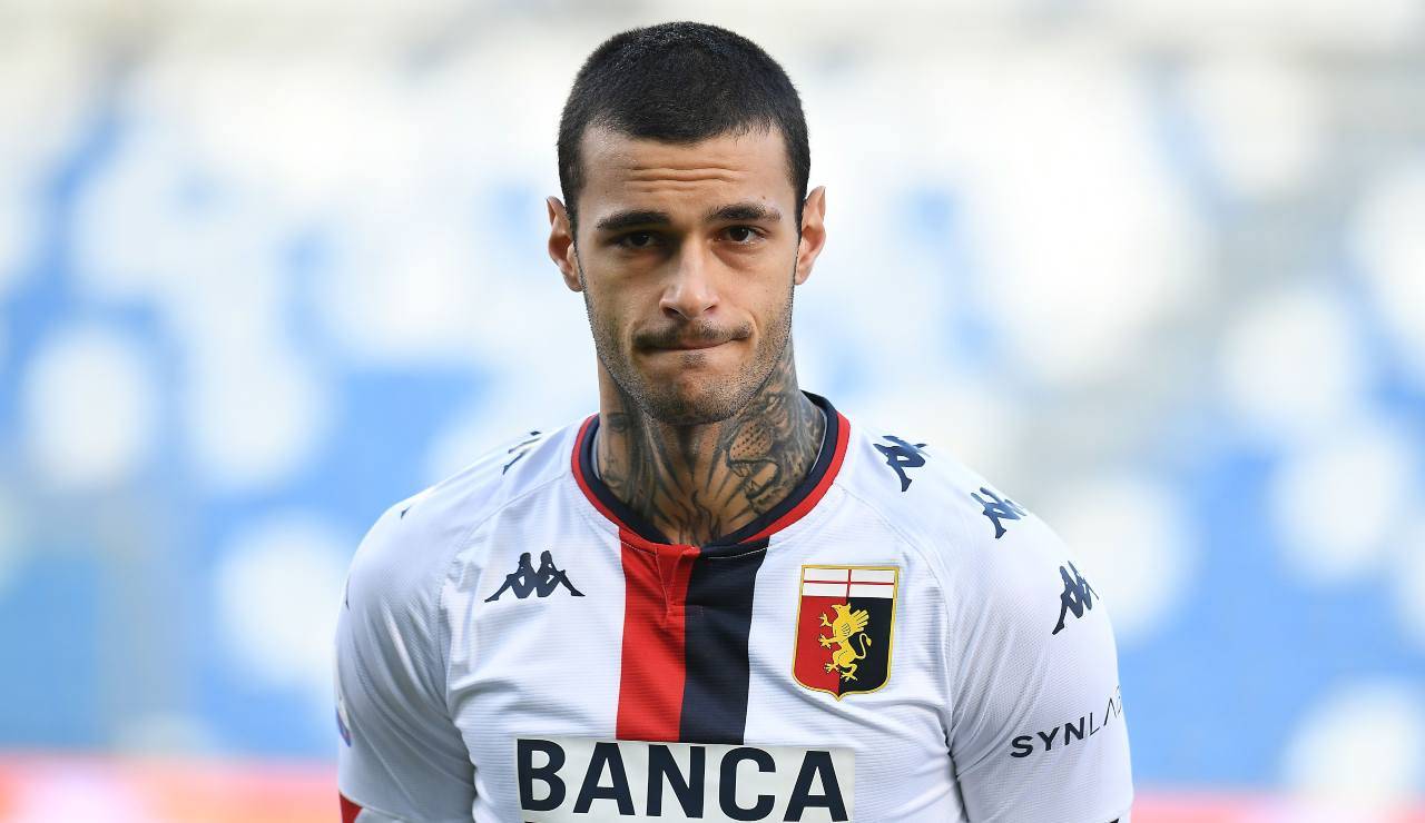 Gianluca Scamacca con la maglia del Genoa