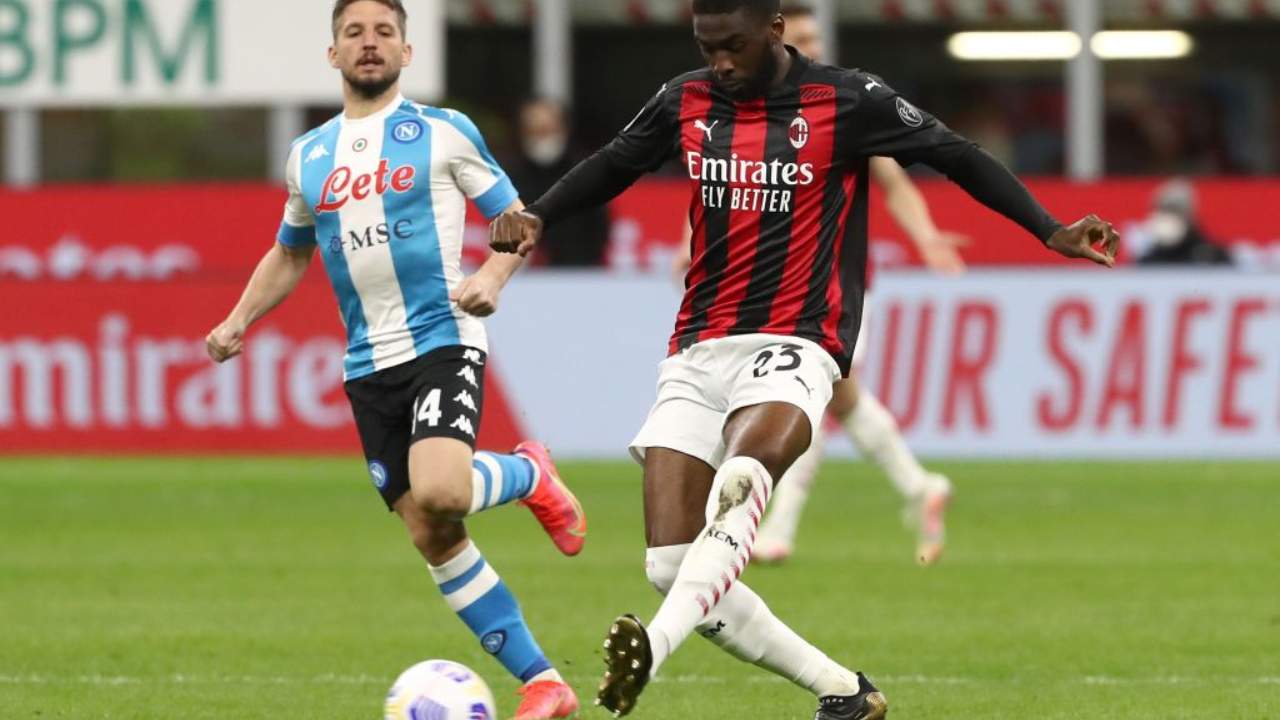 Mertens contrasta Tomori