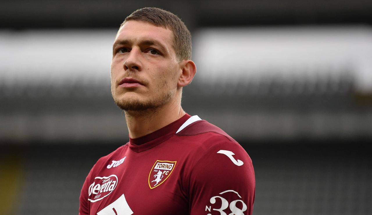 Belotti