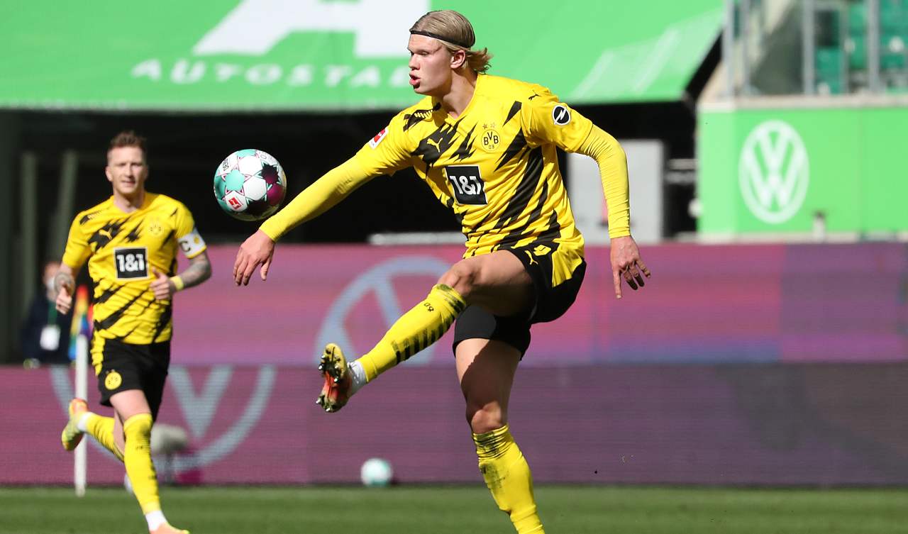 erling haaland
