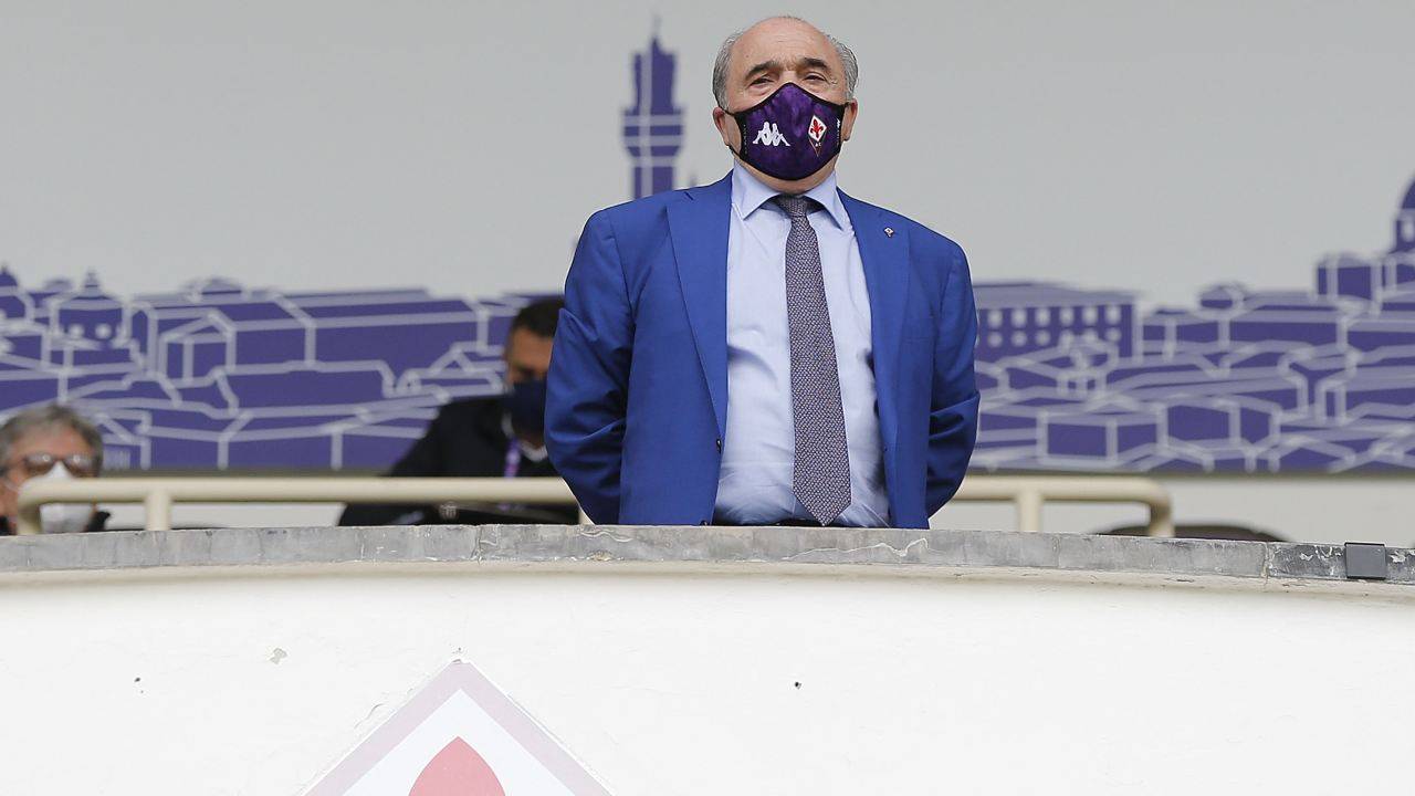 Commisso accigliato