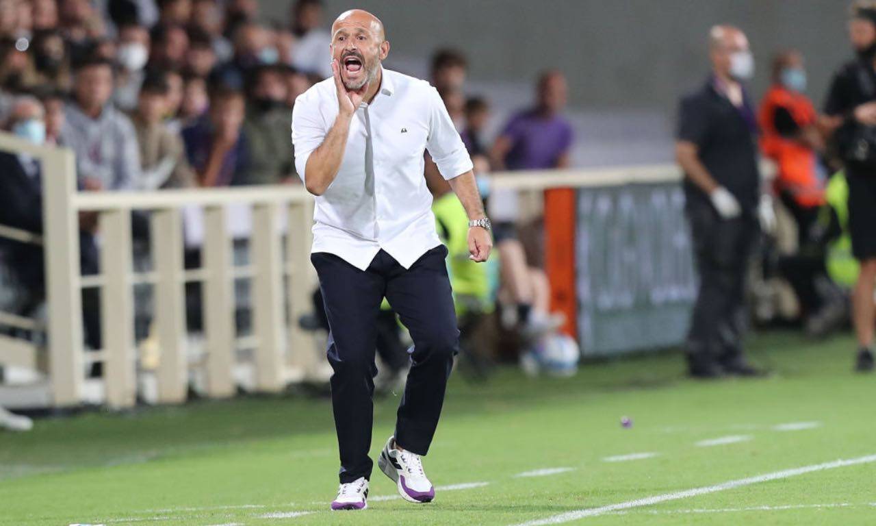 Vincenzo Italiano durante Fiorentina-Torino 