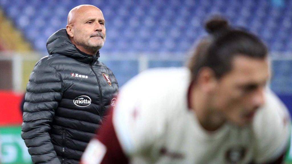 Colantuono tecnico della Salernitana