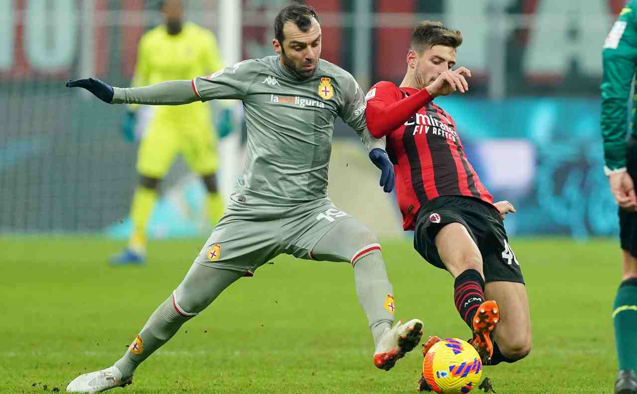 Pandev marca Gabbia 