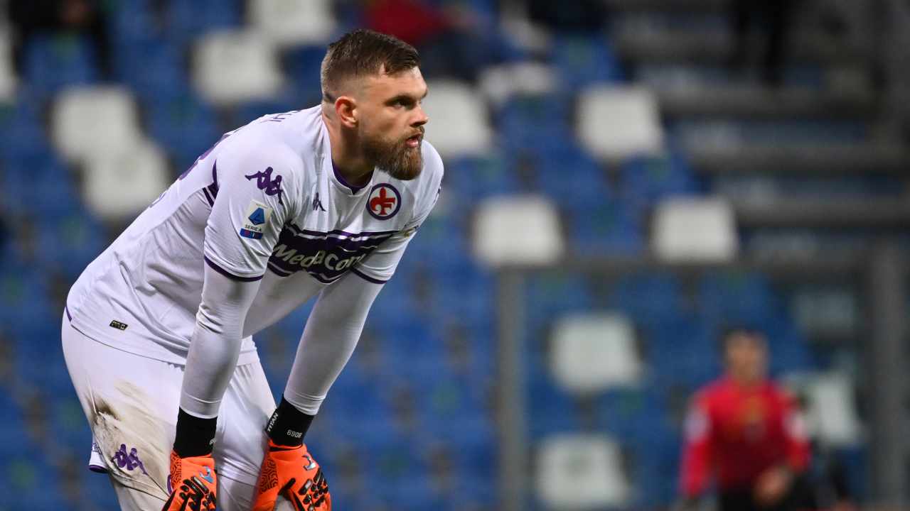 Dragowski preoccupato in campo Fiorentina 