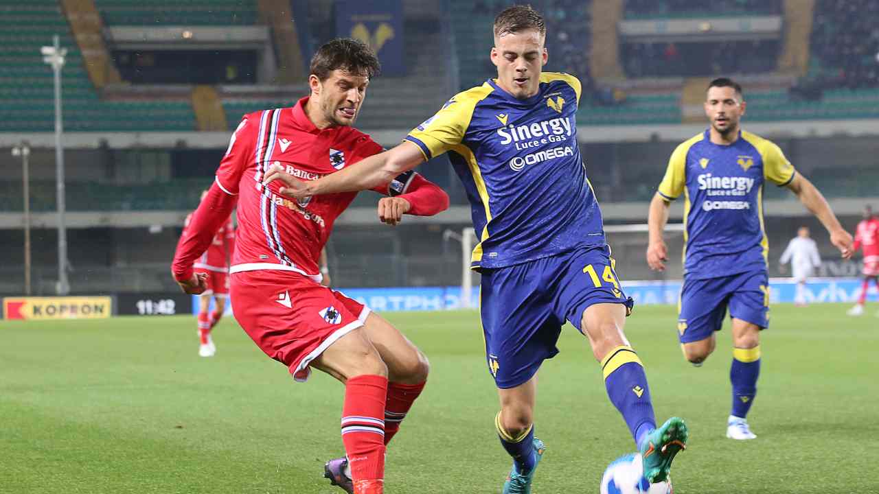 Verona-Sampdoria in campo