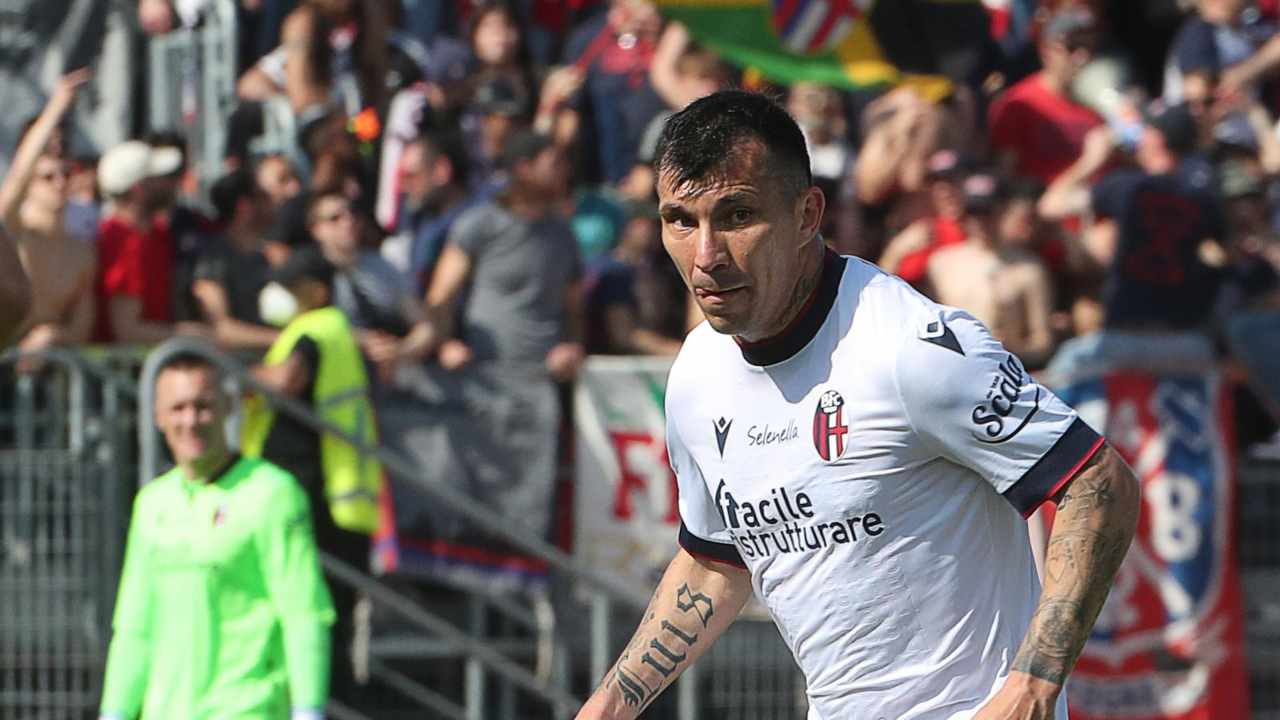 Rinnovo Medel ufficiale