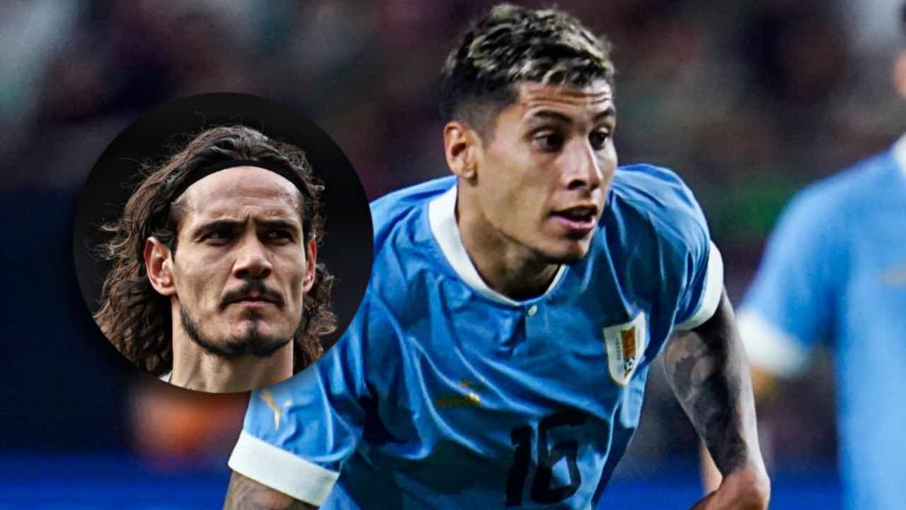 Olivera e Cavani