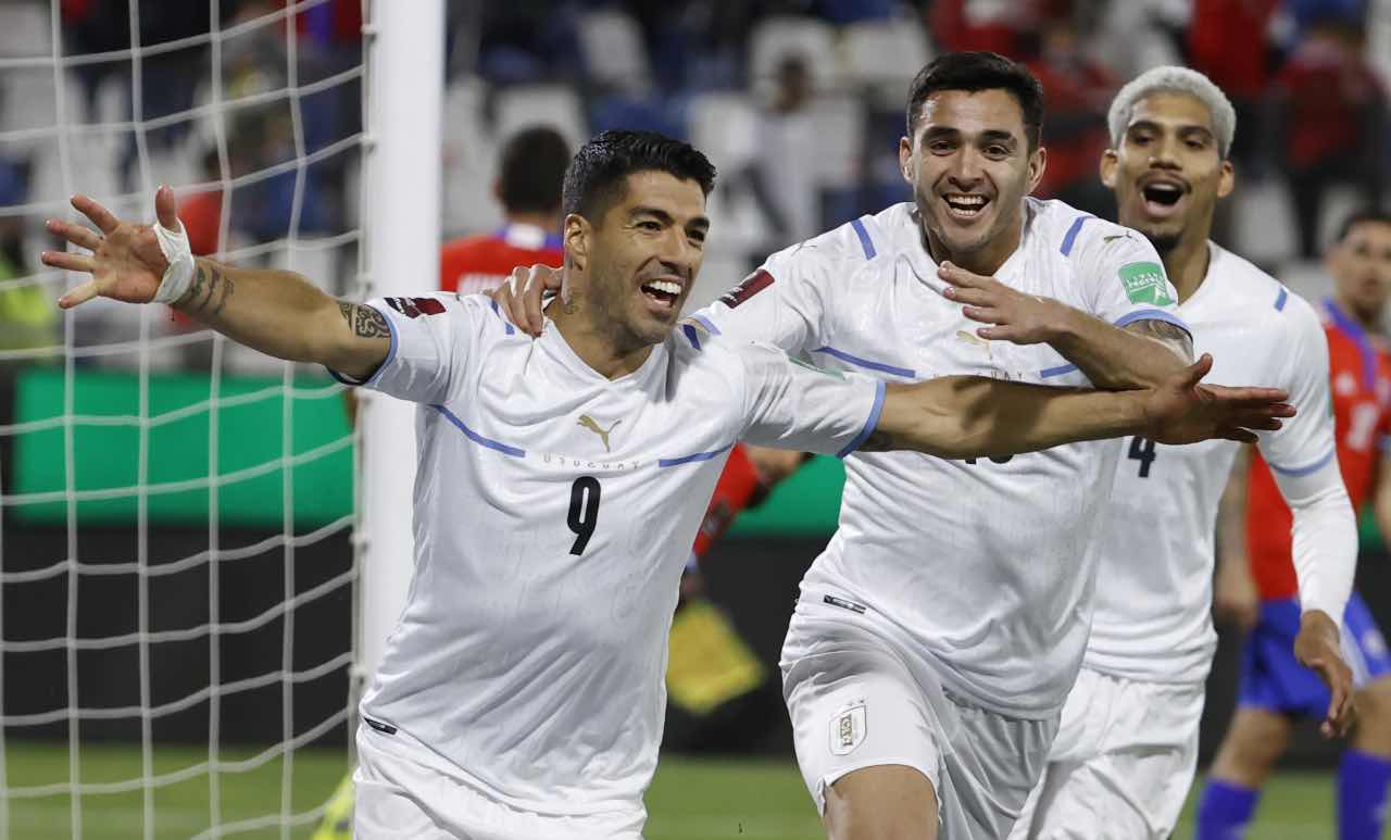 Suarez esulta con l'Uruguay