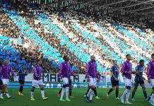 Atalanta-Fiorentina giocatori entrano in campo