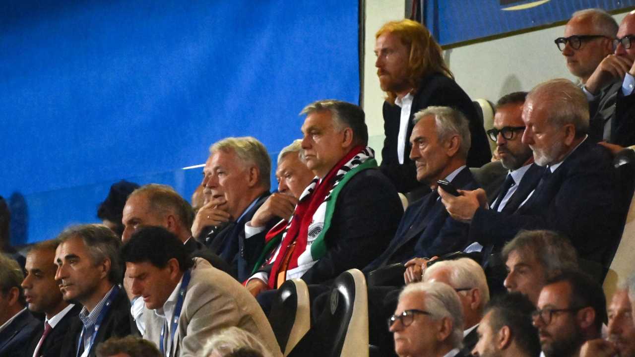 Italia Euro 2024 Gravina