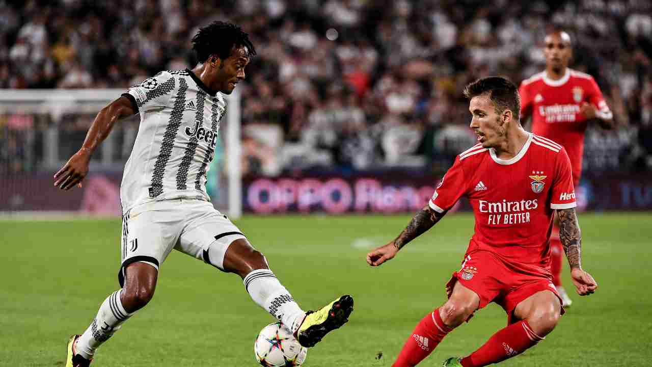 grimaldo