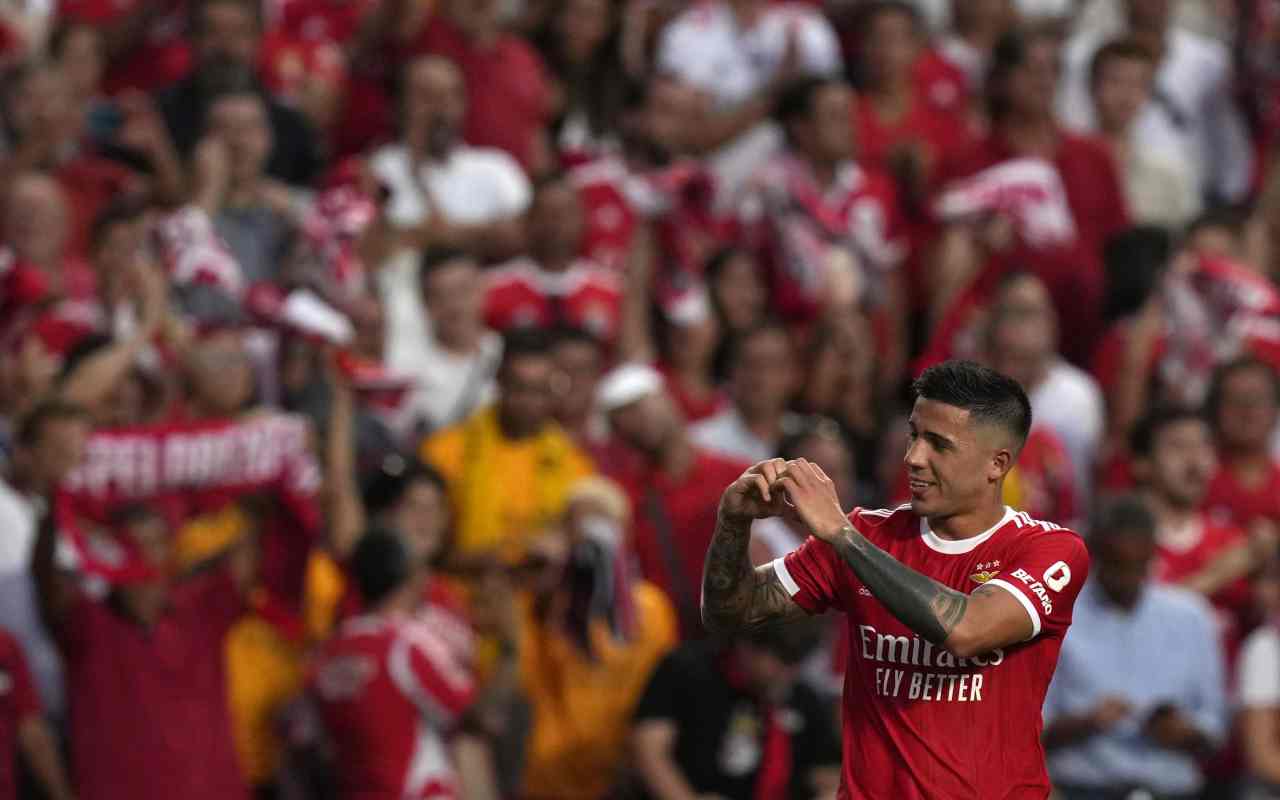 enzo fernandez benfica