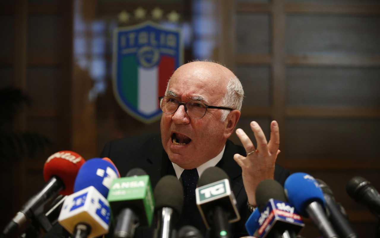 tavecchio