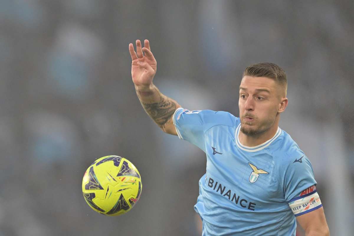 Addio Milinkovic-Savic 