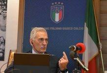 gravina figc italia
