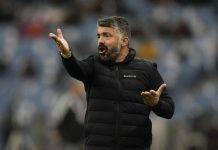 Gattuso Lione