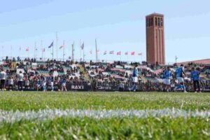 il manto erboso dello Stadio Penzo di Venezia