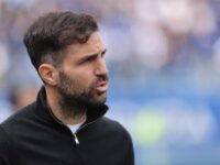 Cesc Fabregas in campo