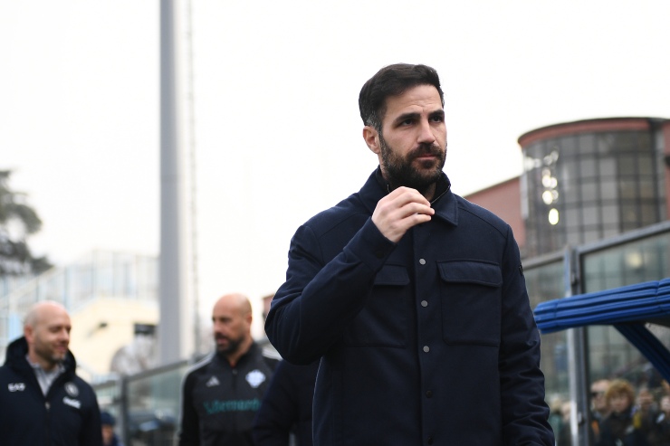 Fabregas nell'area tecnica 