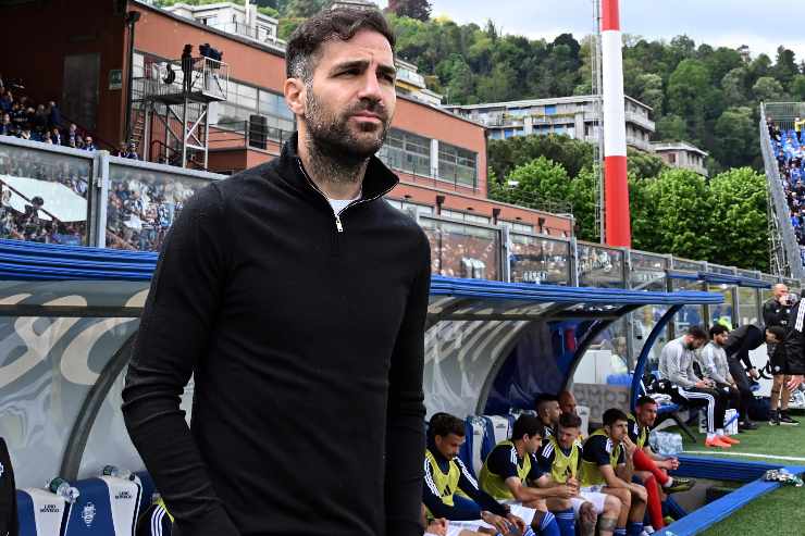 Cesc Fabregas tecnico del Como