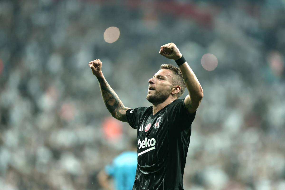 Immobile al Bologna, torna un pupillo: cosa fare al Fantacalcio Immobile al Bologna, torna un pupillo: cosa fare al Fantacalcio