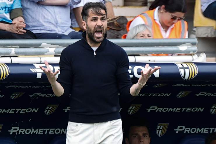 Cesc Fabregas urla